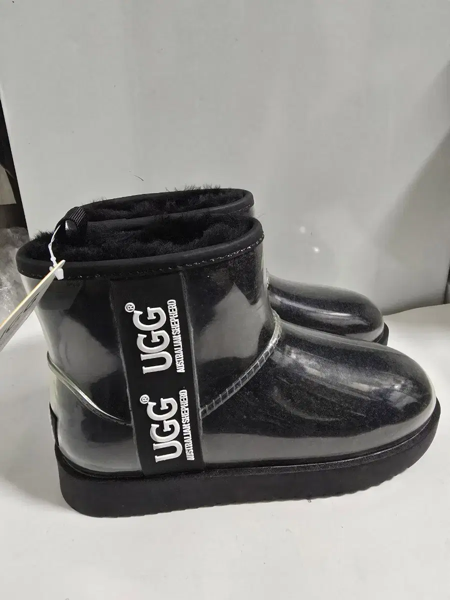 UGG 클리어 어그부츠 37 (235~240)미사용